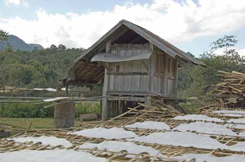 drying noodles-AsiaPhotoStock