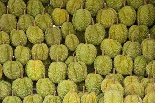 durians-AsiaPhotoStock