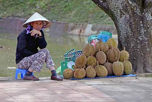 durians dalat-AsiaPhotoStock