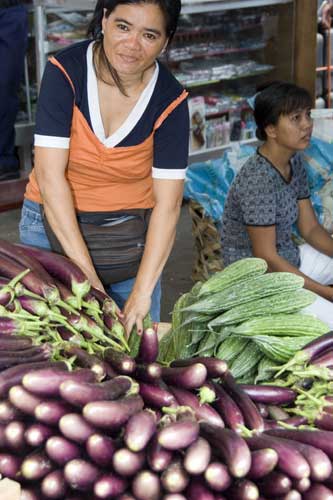 egg plant seller-AsiaPhotoStock