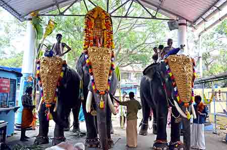 elephant ceremony-AsiaPhotoStock