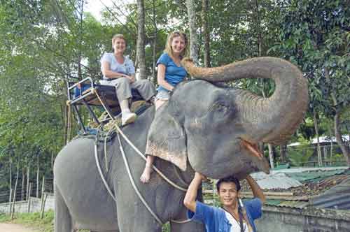elephant ride-AsiaPhotoStock