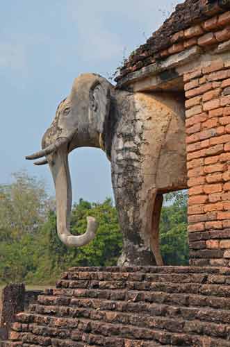 elephant sukhothai-AsiaPhotoStock