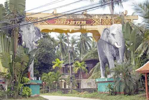 stone elephants gate-AsiaPhotoStock