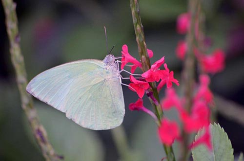 emigrant-AsiaPhotoStock