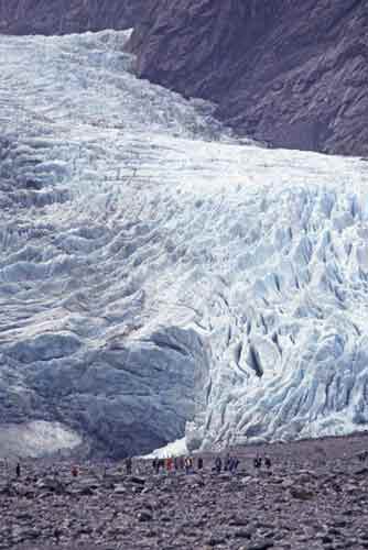 franz joseph glacier-AsiaPhotoStock