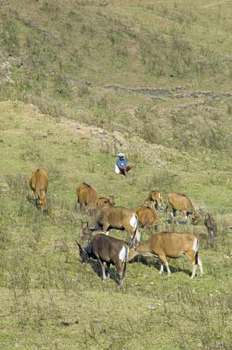 farm-AsiaPhotoStock