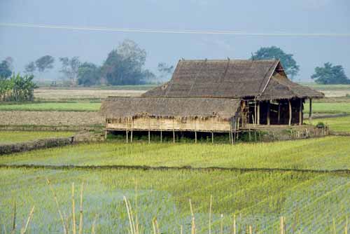 farm-AsiaPhotoStock