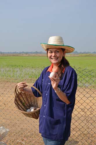 farmer with eggs-AsiaPhotoStock