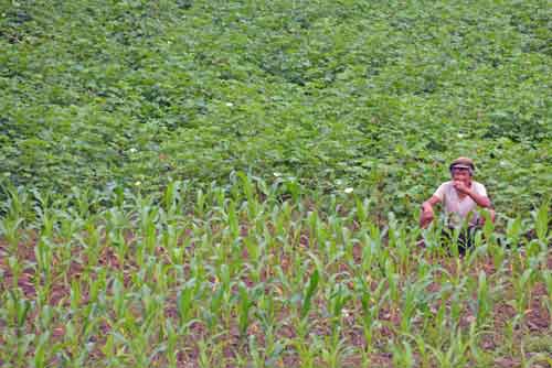 farmer-AsiaPhotoStock