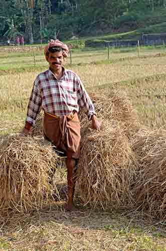 farmer wayanad-AsiaPhotoStock