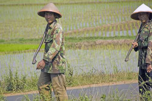 farmer conical hat-AsiaPhotoStock