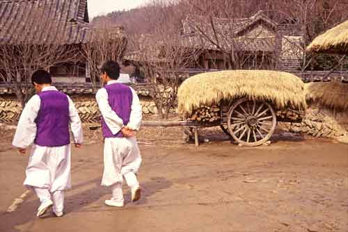 korean farmers-AsiaPhotoStock