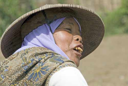 farmers wife-AsiaPhotoStock