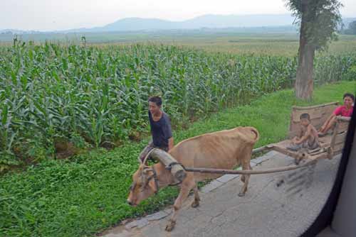 farming-AsiaPhotoStock