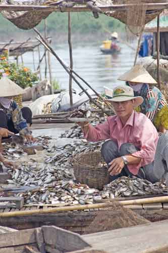 farming fish-AsiaPhotoStock