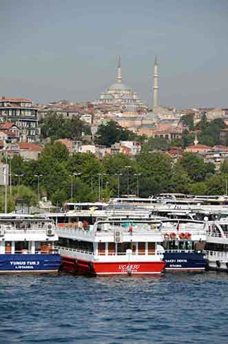 fatih mosque-AsiaPhotoStock