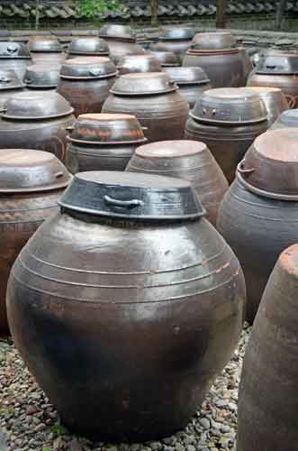 fermenting soy beans-AsiaPhotoStock