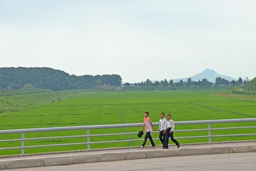 fields-AsiaPhotoStock