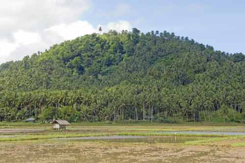 rice and coconuts-AsiaPhotoStock