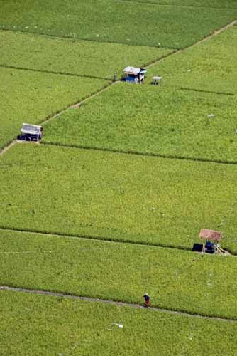 fields from mosque-AsiaPhotoStock