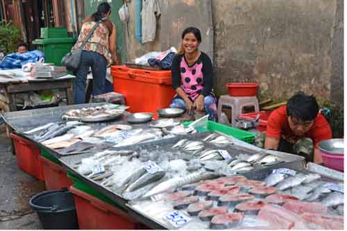fish market bangkok-AsiaPhotoStock