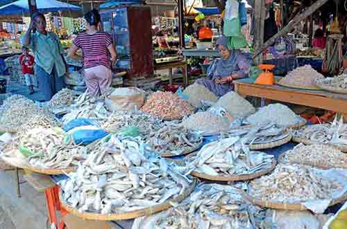 fish balige-AsiaPhotoStock