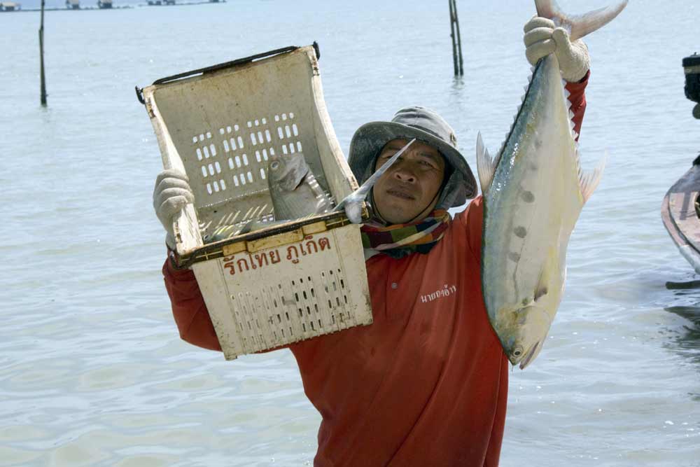 fish catch phuket-AsiaPhotoStock