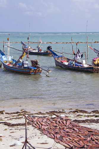 drying fish hua tha non-AsiaPhotoStock