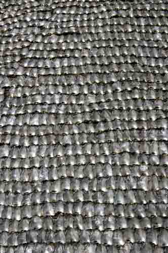 fish drying on table-AsiaPhotoStock