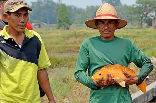 fish farm-AsiaPhotoStock