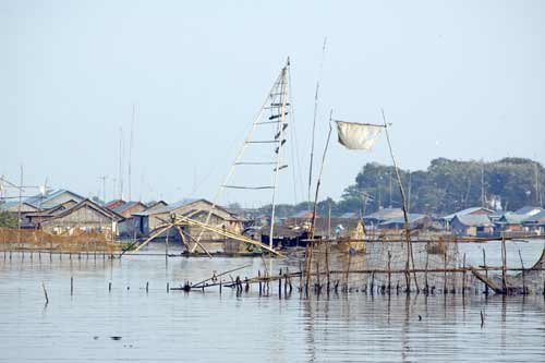 fish farming-AsiaPhotoStock