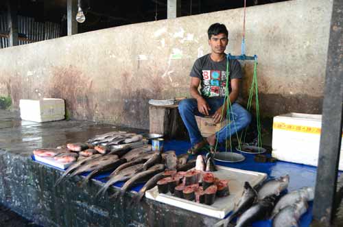 fish itanangar-AsiaPhotoStock