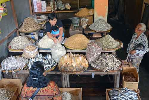 fish jogja-AsiaPhotoStock