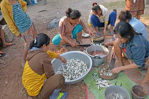 fish done khone-AsiaPhotoStock