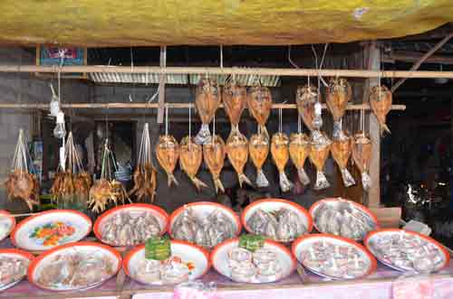 fish market-AsiaPhotoStock