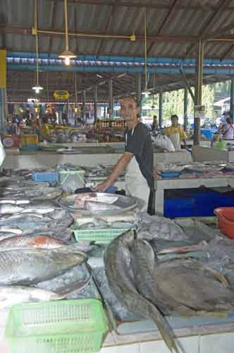 fish market mae nam-AsiaPhotoStock