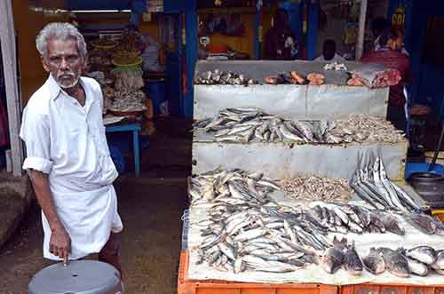 fish munnar-AsiaPhotoStock