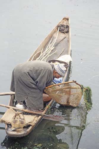 dal lake fisherman-AsiaPhotoStock