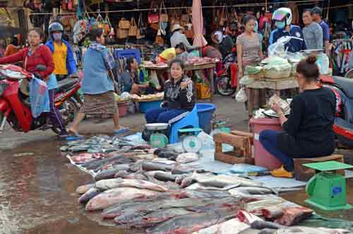 fish at pakse market-AsiaPhotoStock