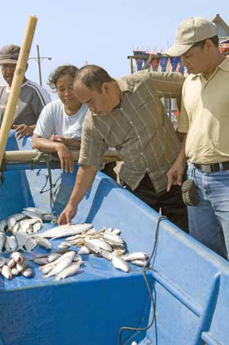 fish parangkusumo-AsiaPhotoStock