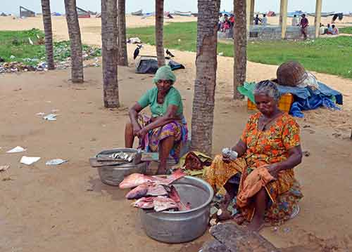 fish sales chowara-AsiaPhotoStock