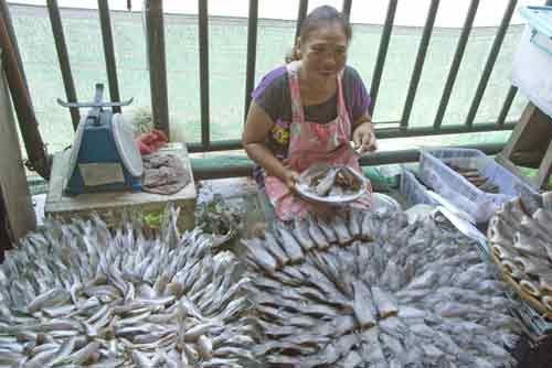 fish seller bangkok-AsiaPhotoStock