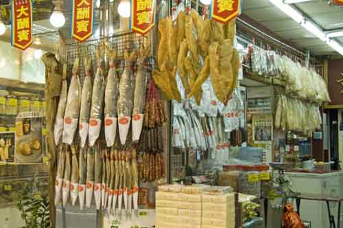 fish shop-AsiaPhotoStock