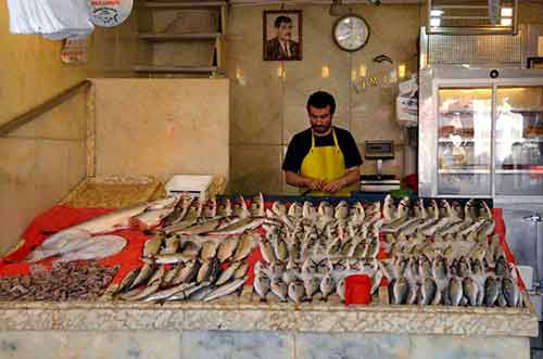 fish stall-AsiaPhotoStock