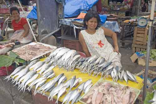 fish lady at market-AsiaPhotoStock