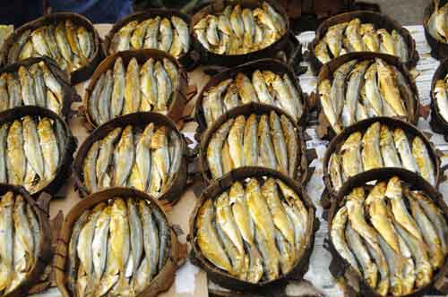 boxed fish-AsiaPhotoStock