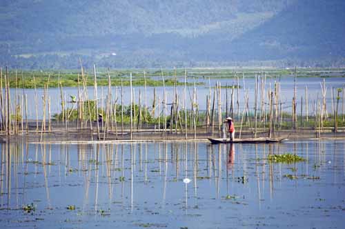 fisherman ambarawa-AsiaPhotoStock