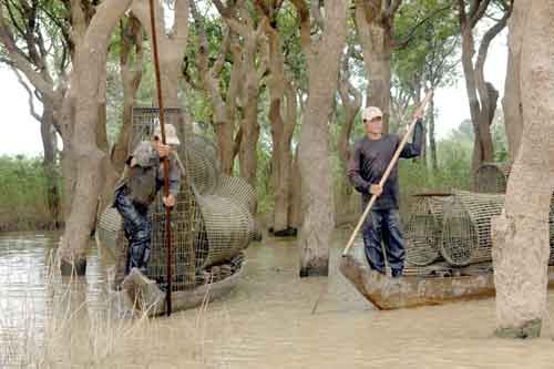 fishing traps-AsiaPhotoStock