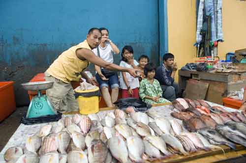 fish family at market-AsiaPhotoStock